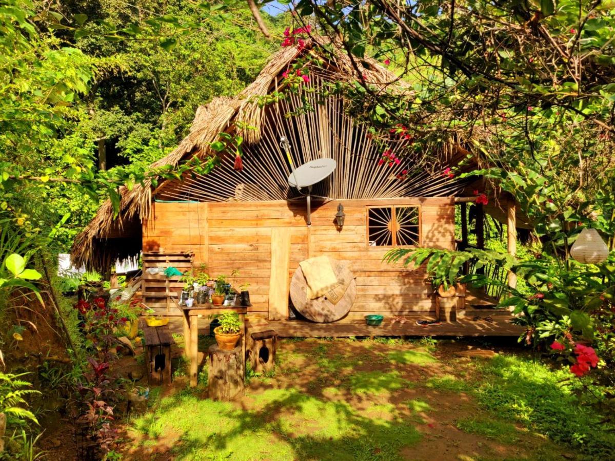Finca La Selvita Chocolate Experience Buritaca Exterior foto