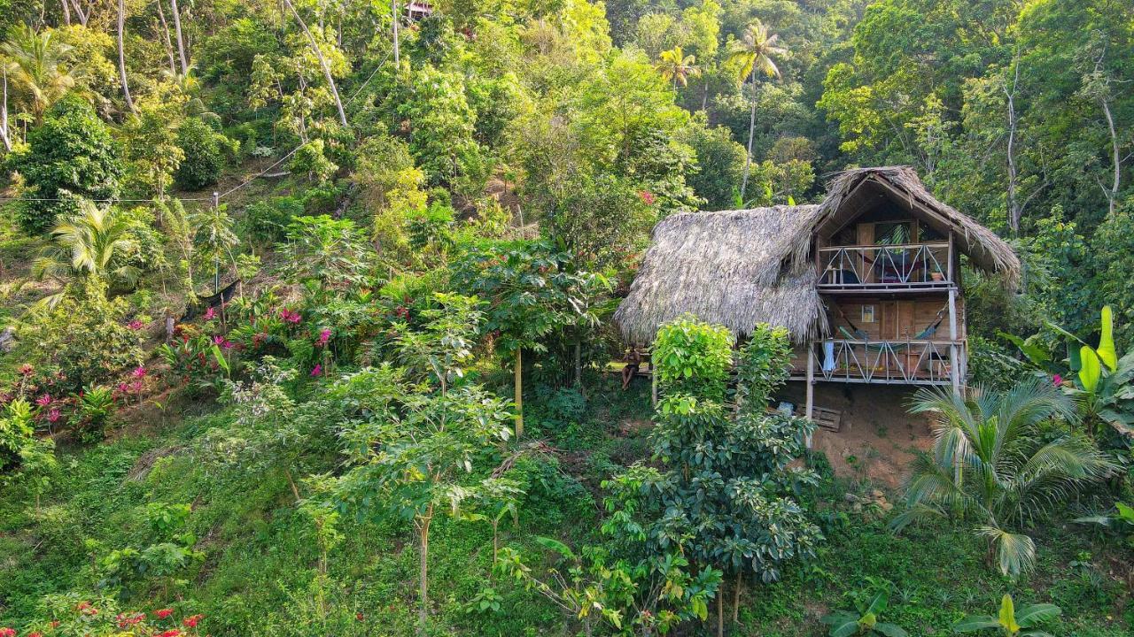 Finca La Selvita Chocolate Experience Buritaca Exterior foto
