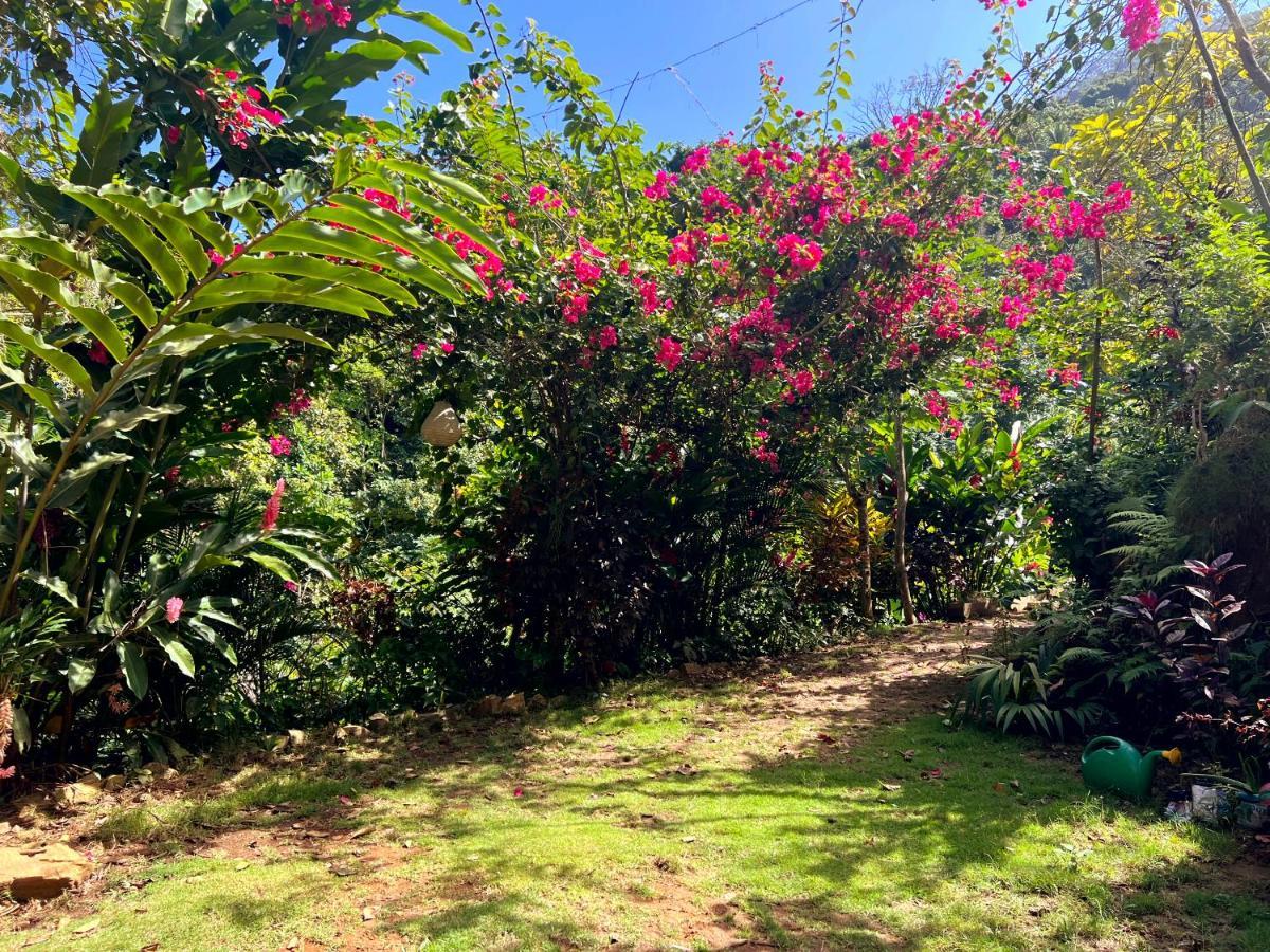 Villa Finca La Selvita Cacao Experience Buritaca Exterior foto