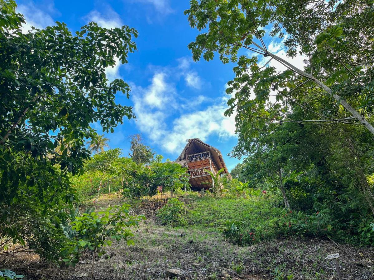 Villa Finca La Selvita Cacao Experience Buritaca Exterior foto