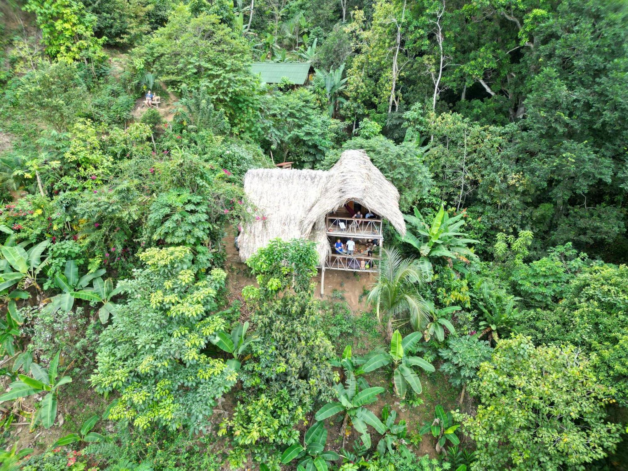 Villa Finca La Selvita Cacao Experience Buritaca Exterior foto