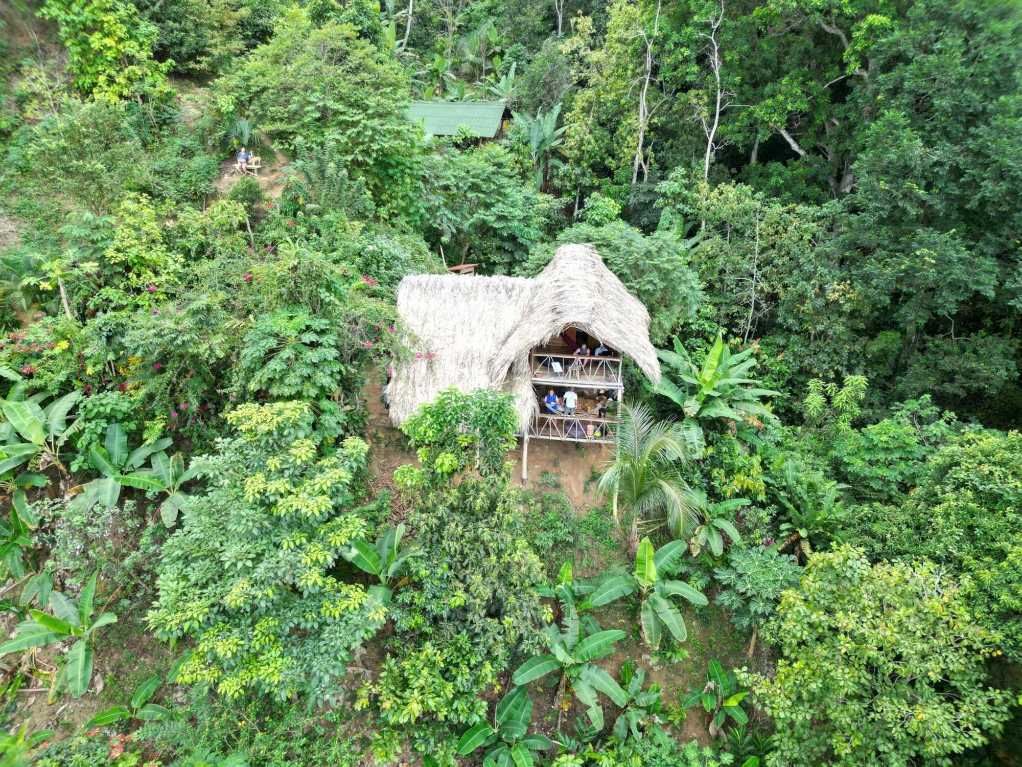 Finca La Selvita Chocolate Experience Buritaca Exterior foto