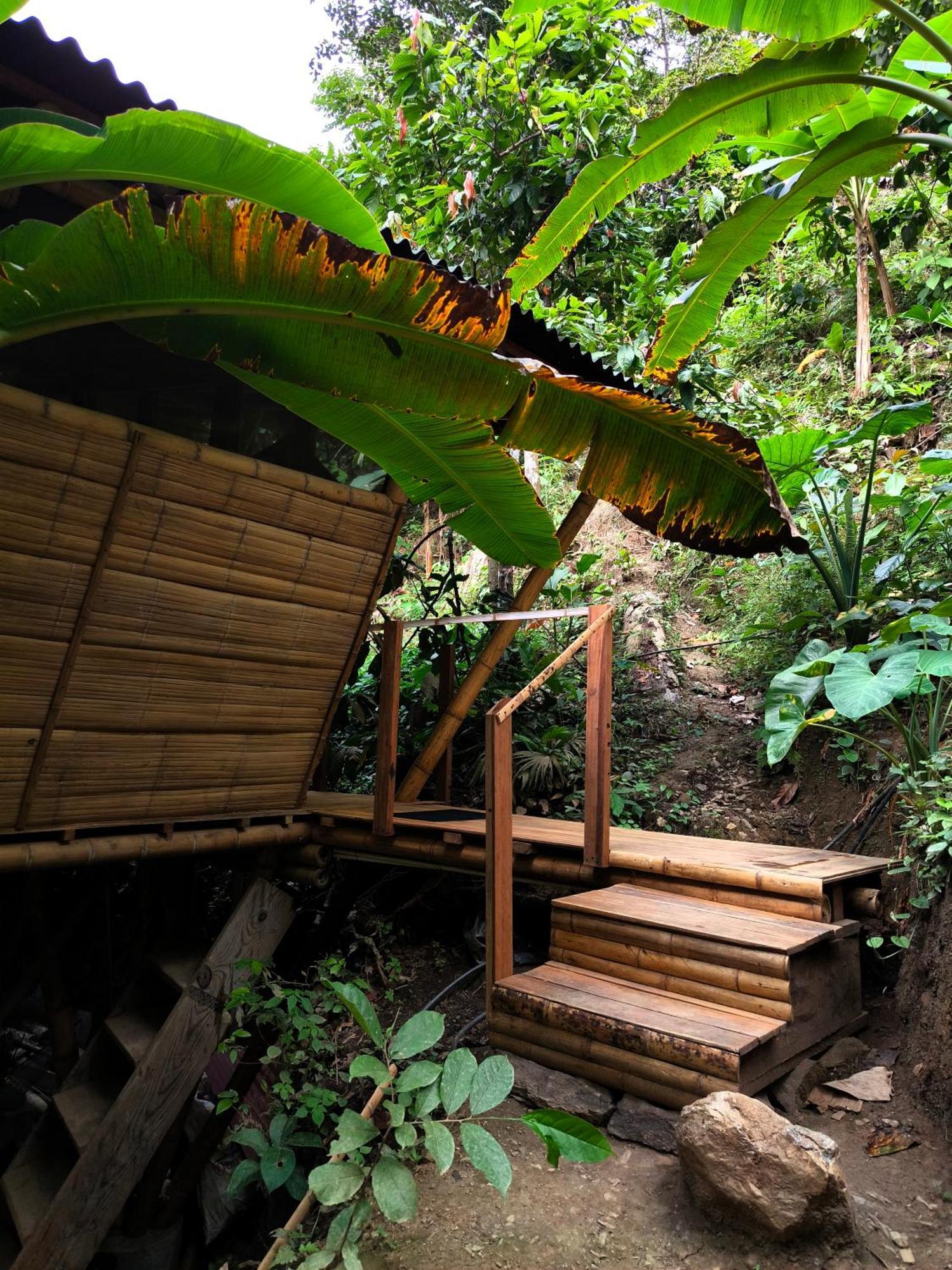 Finca La Selvita Chocolate Experience Buritaca Exterior foto